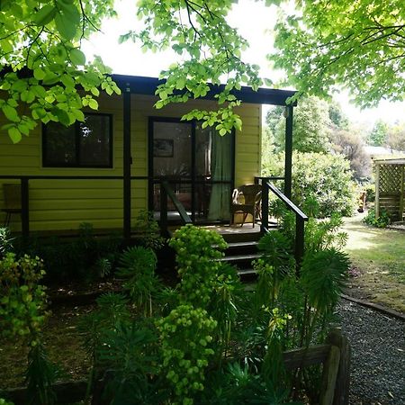 Ivy'S Cottage Greytown Exteriér fotografie